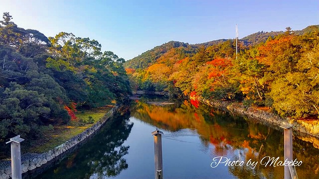 宇治橋　杭