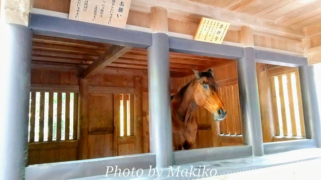 伊勢神宮　内宮　神馬