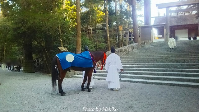 伊勢神宮　内宮　神馬見参