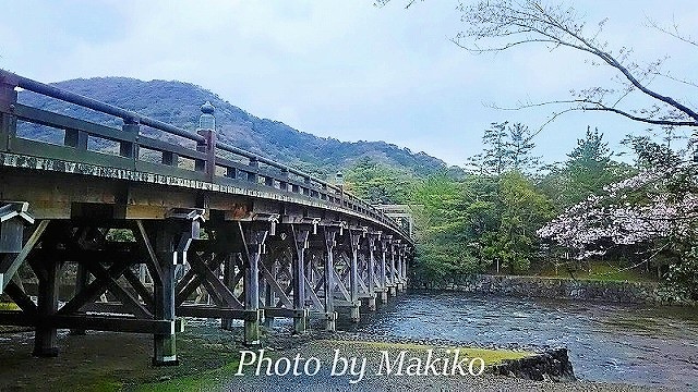 宇治橋　春